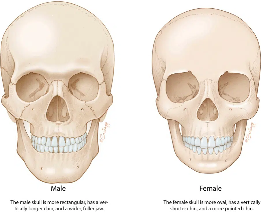 ابتسامة هوليوود للرجال في تركيا 